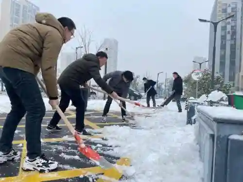 新区大雪阵容搭配插图2