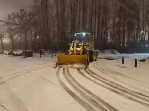 新区大雪阵容搭配插图3