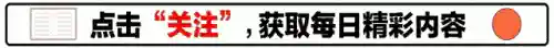 赵云项羽阵容怎么搭配(赵云三势完美阵容)插图