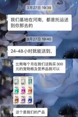 咸鱼之王狗子阵容搭配(阴阳师大天狗阵容搭配)插图2