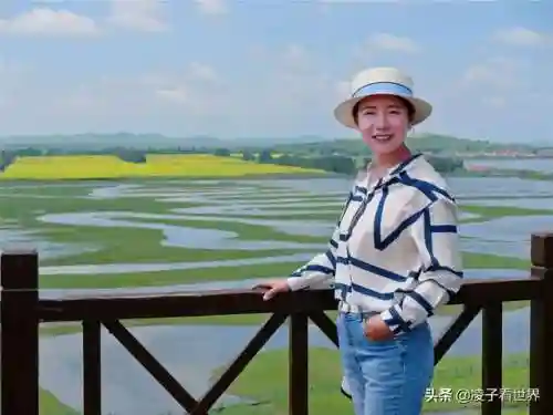 星际战海阵容搭配攻略(星际52区最强阵容)插图1