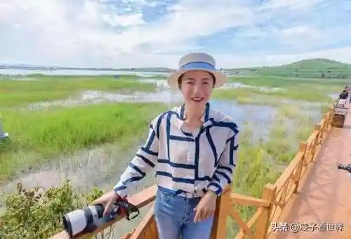 星际战海阵容搭配攻略(星际52区最强阵容)插图81