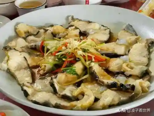星际战海阵容搭配攻略(星际52区最强阵容)插图46