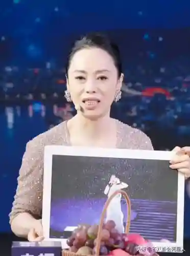 各家中秋晚会阵容搭配(中秋晚会2021年节目单新的节目单)插图2