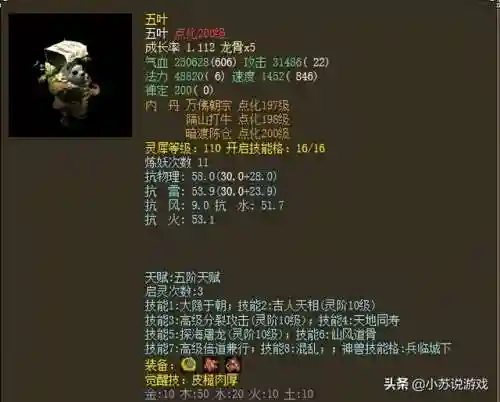 大话2最强阵容搭配图(大话2新区5开阵容选择)插图1