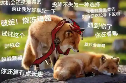 迪老爷阵容搭配贴吧(迪奥娜阵容搭配平民)插图2
