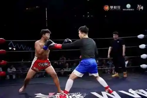 拳击表演阵容搭配最新赛季(拳击俱乐部2最强技能搭配)插图4