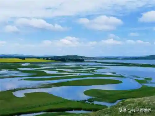 星际战海阵容搭配攻略(星际52区最强阵容)插图96
