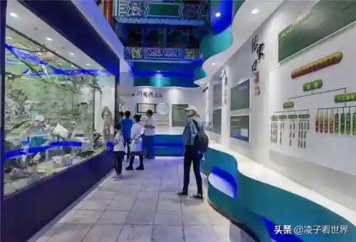 星际战海阵容搭配攻略(星际52区最强阵容)