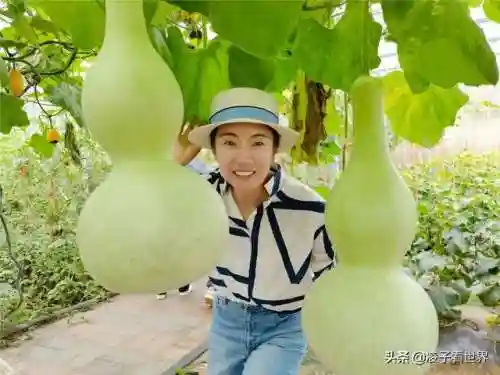 星际战海阵容搭配攻略(星际52区最强阵容)插图68