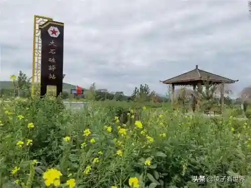 星际战海阵容搭配攻略(星际52区最强阵容)插图36