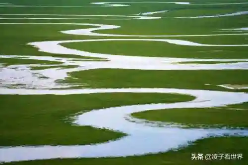 星际战海阵容搭配攻略(星际52区最强阵容)插图