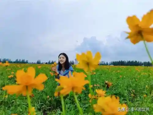 星际战海阵容搭配攻略(星际52区最强阵容)插图5