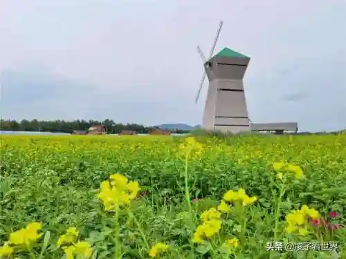 星际战海阵容搭配攻略(星际52区最强阵容)插图6