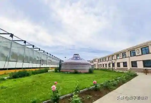 星际战海阵容搭配攻略(星际52区最强阵容)插图75