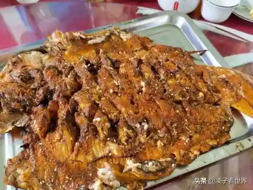 星际战海阵容搭配攻略(星际52区最强阵容)插图49