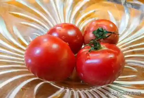 星际战海阵容搭配攻略(星际52区最强阵容)插图77