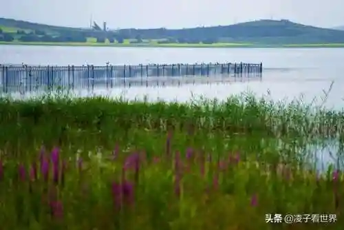 星际战海阵容搭配攻略(星际52区最强阵容)插图86