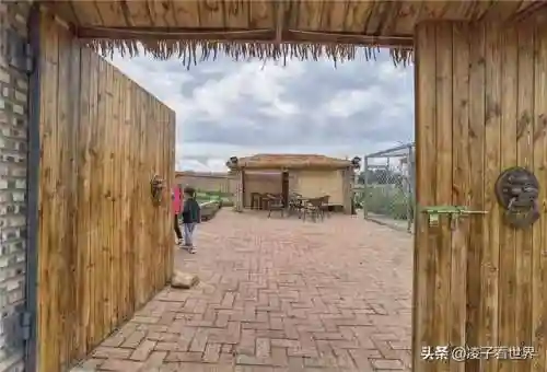 星际战海阵容搭配攻略(星际52区最强阵容)插图38