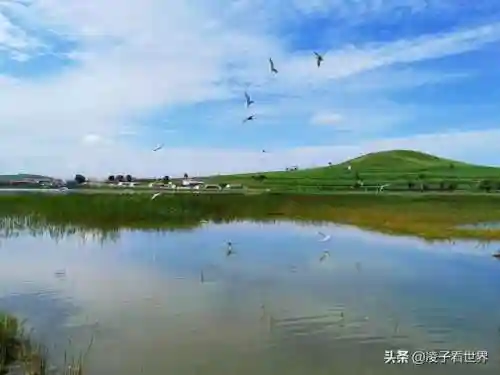 星际战海阵容搭配攻略(星际52区最强阵容)插图84