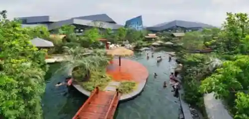 梦幻恐龙园阵容搭配图(梦幻恐龙园最强史诗龙)插图19