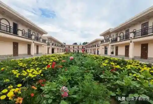 星际战海阵容搭配攻略(星际52区最强阵容)插图73