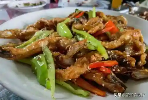 星际战海阵容搭配攻略(星际52区最强阵容)插图51