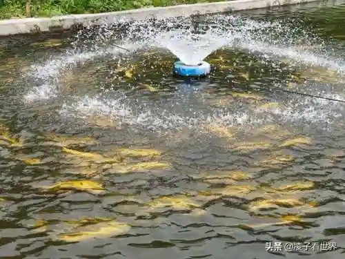 星际战海阵容搭配攻略(星际52区最强阵容)插图54