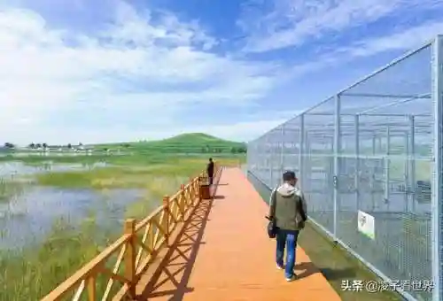 星际战海阵容搭配攻略(星际52区最强阵容)插图83