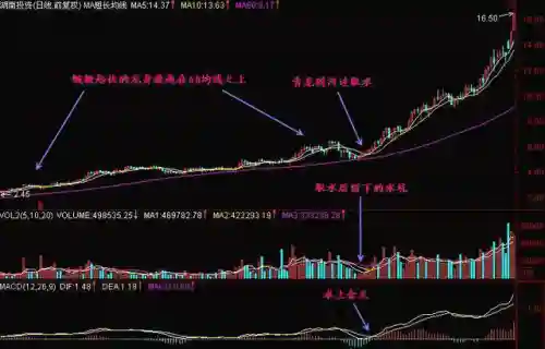 青龙经典战法推荐阵容搭配(五法吴天流阵容)插图