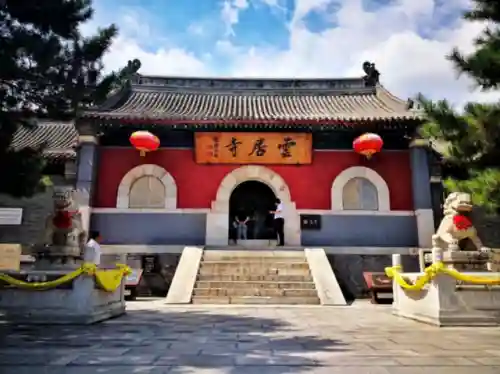 真三国无双8猛犸象阵容(真三国无双8特殊坐骑)插图5