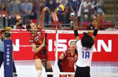 中国女排替补阵容水平差(中国女排5人退役)插图5
