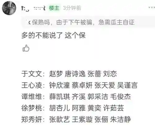 乘风破浪第三季三公阵容(乘风破浪的姐姐1阵容)插图3