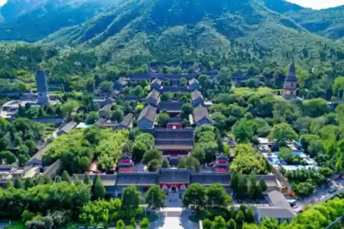 真三国无双8猛犸象阵容(真三国无双8特殊坐骑)插图7