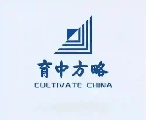 豪华名师阵容(最强祖师后期阵容搭配)插图3