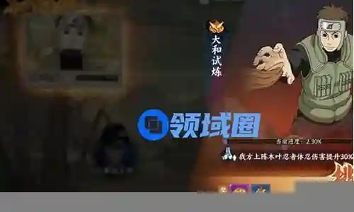 大和阵容搭配