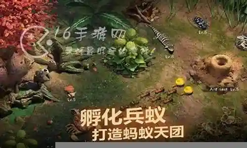 镰刀猛蚁阵容搭配