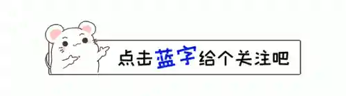 招笑的阵容(关关张怕什么阵容)插图