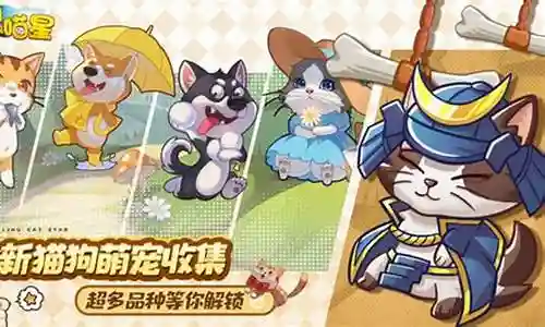 狗狗英雄推荐阵容搭配