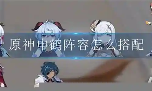 神鹤阵容搭配攻略
