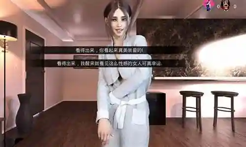 我与他游戏攻略