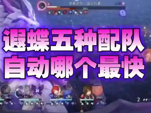 尼蝶阵容插图1