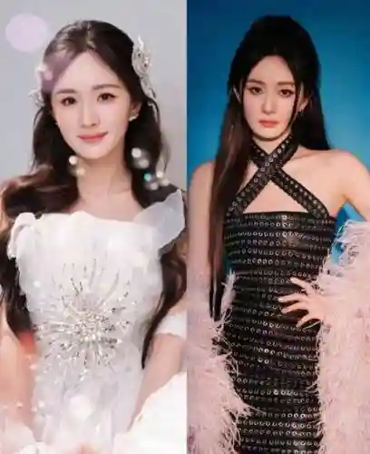 杨幂阵容插图