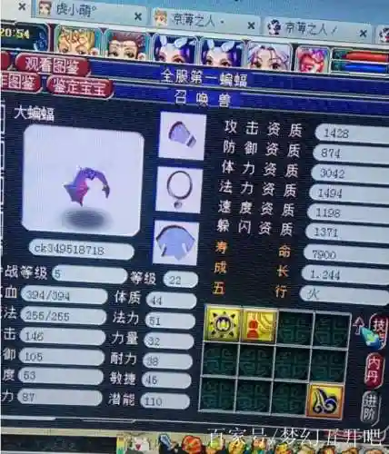梦幻西游中大蝙蝠在哪里