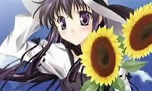 水夏攻略