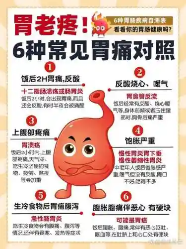 胃部阵容插图1