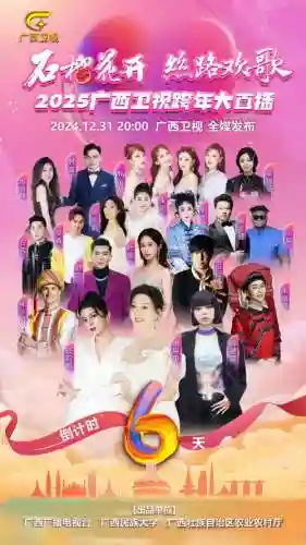 广西跨年阵容插图