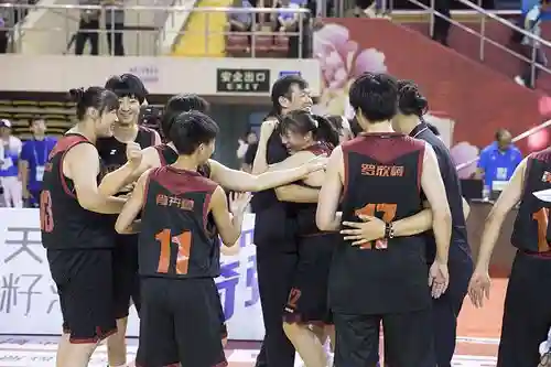 仙林阵容