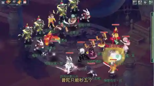 129普陀阵容插图