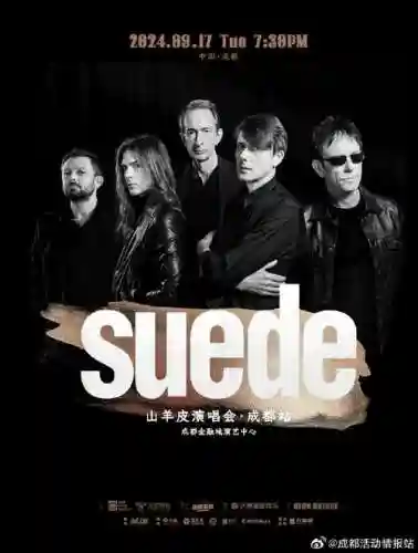 suede经典阵容